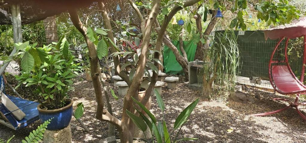 נופש דביר - סוויטות מהממות ובקתה כפרית עם ג'קוזי ליד הכנרת - יש מקלט צמוד Villa Мигдал Стая снимка